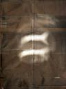 DoN Brewer - light being (Sid & Nancy), photograph, Absolutely Abstract 2010